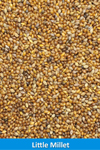 little millet